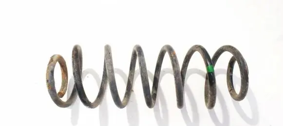 Rear coil spring