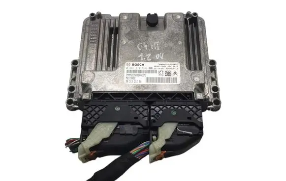 Engine control unit/module ECU