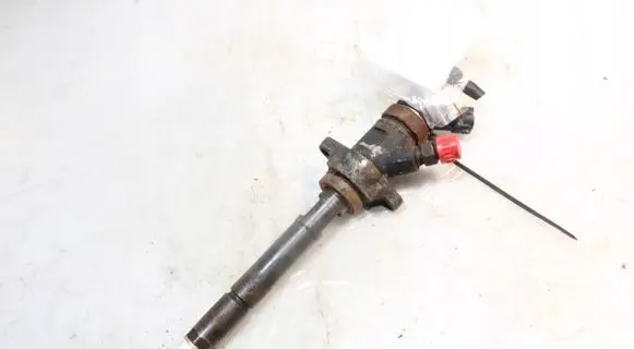 Peugeot 307 Fuel injector 0445110311