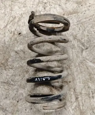 Mitsubishi Grandis Rear coil spring
