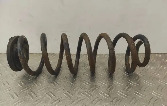 Volkswagen Tiguan Rear coil spring