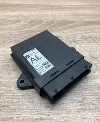 Opel Signum Door control unit/module 13111456 5WK46001