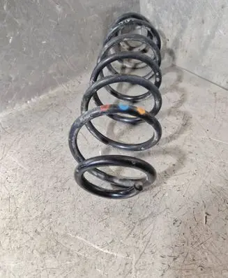 Rear coil spring