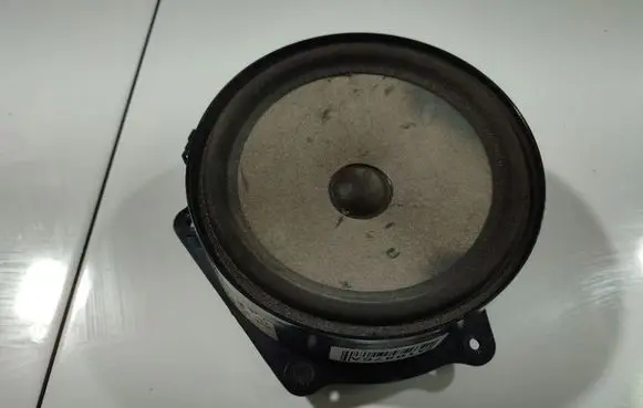 Front door speaker
