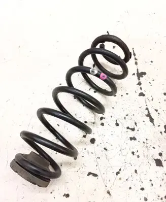 Rear coil spring