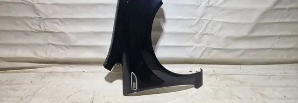 Fender