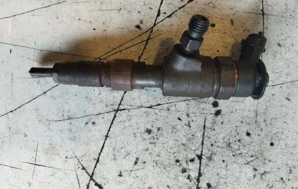 Citroen C3 Picasso Fuel injector 0445110340