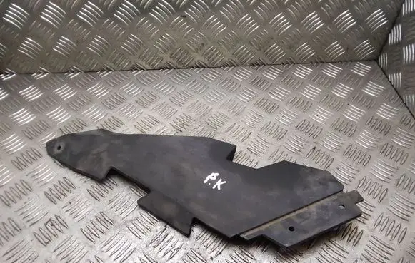 Mercedes-Benz B W245 Radiator trim A1698210336