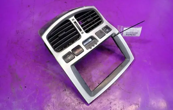 Hyundai Santa Fe Panel trim 