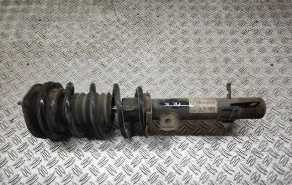 Mini Cooper Countryman R60 Front shock absorber with coil spring 313031319 14941510