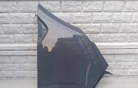 Renault Trafic III (X82) Fender