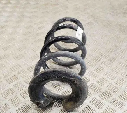 Tesla Model 3 Rear coil spring 104447291E