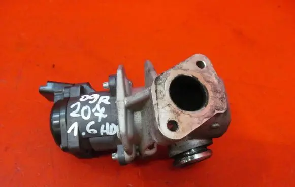 Peugeot 207 EGR valve C2024W02 B195112 A0070509