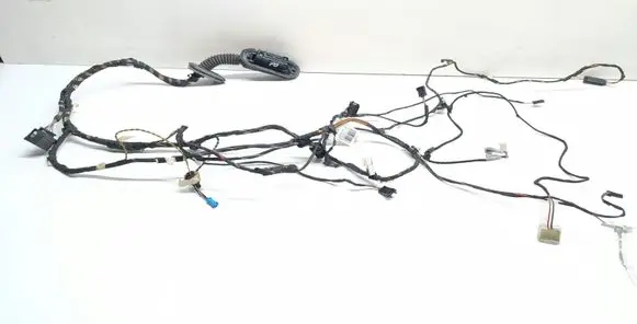 BMW X3 F25 Front door wiring loom 9243655