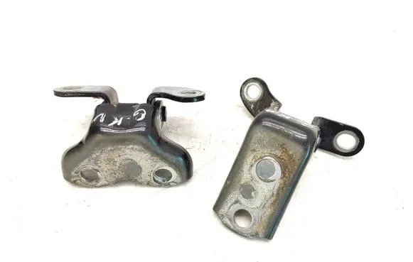 Toyota Avensis T250 Rear door hinge set 209