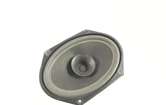 Ford Mustang V Parcel shelf speaker 8R3T18808CA