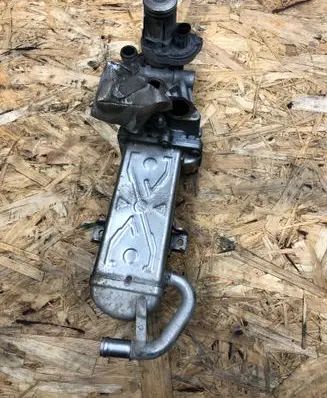 Volkswagen Golf VI EGR valve 0280751016 11725505