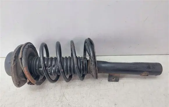 Peugeot 206+ Front shock absorber with coil spring