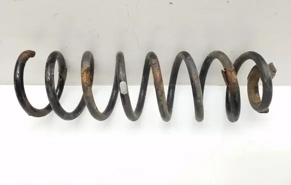 Rear coil spring