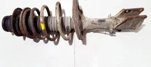 Fiat Palio Front shock absorber/damper