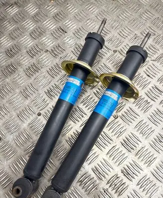 Rear shock absorber/damper