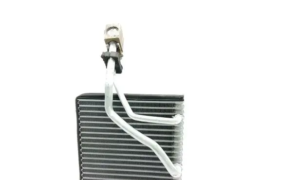 Seat Toledo II (1M) Air conditioning (A/C) radiator (interior) 