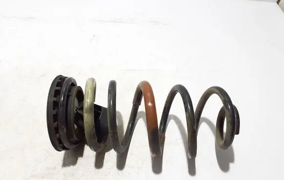 Rear coil spring