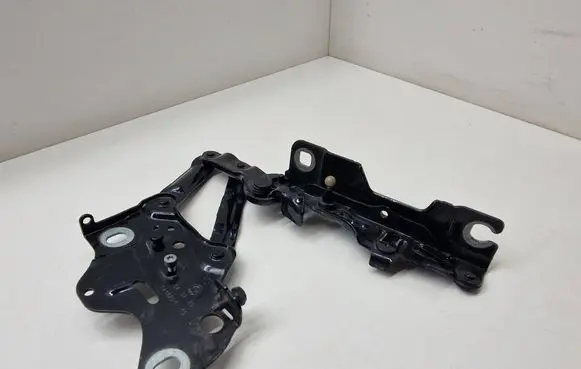 BMW X5 G05 Engine bonnet/hood hinges 7418201
