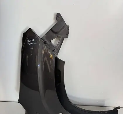 Peugeot Rifter Fender