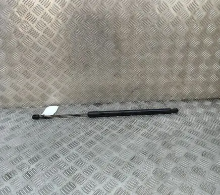 Tailgate/trunk strut/damper