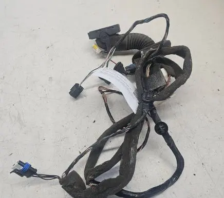 Renault Scenic II - Grand scenic II Front door wiring loom 8200235826