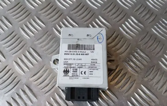 BMW 3 E46 Immobilizer control unit/module 6905667 61356905667