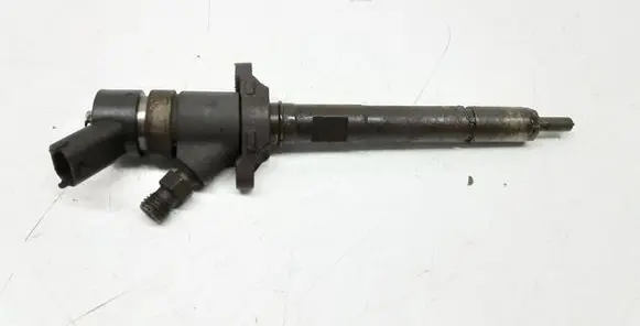 Citroen C5 Fuel injector 0445110259