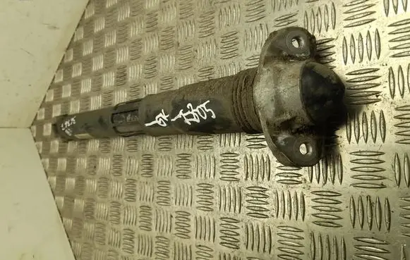 Volkswagen ID.4 Rear shock absorber/damper 1EA512013BD