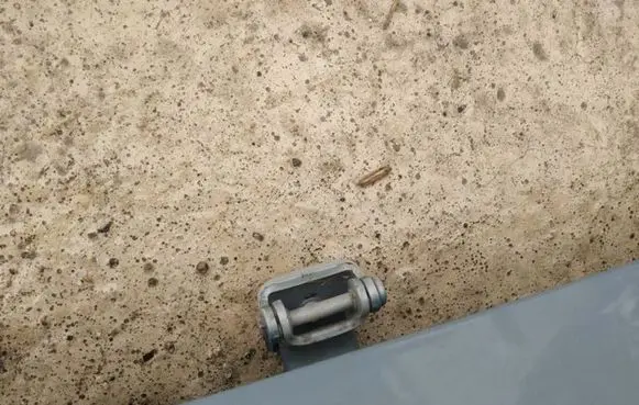 Ford Kuga I Tailgate/trunk/boot hinge