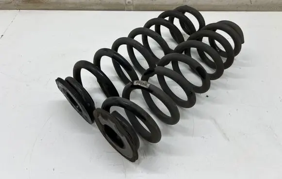 Opel Insignia B Rear coil spring 