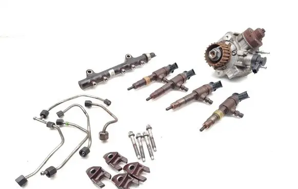 Citroen Berlingo Fuel injection system set 9688499680 0445010516 0445110739