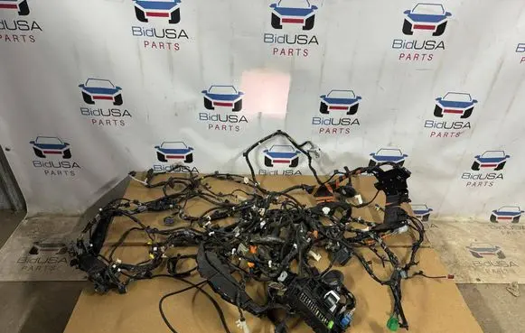 Ford Edge II Left interior wiring harness 