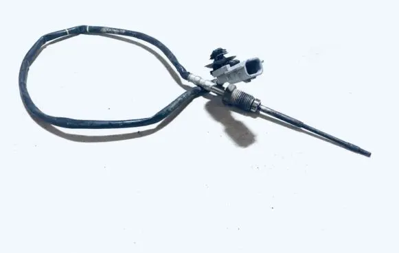 Exhaust gas temperature sensor