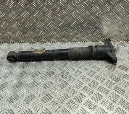 Citroen C4 II Rear shock absorber/damper 9841379480