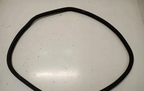 Rear door rubber seal (on body)