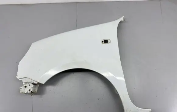Renault Kangoo I Fender
