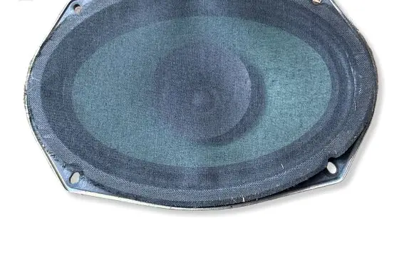 Dodge Charger Front door speaker 05091019AB