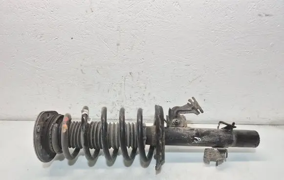 Land Rover Discovery Sport Front shock absorber with coil spring 