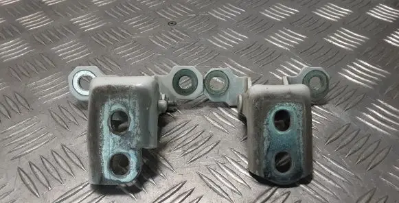 Renault Latitude (L70) Rear door hinge set 