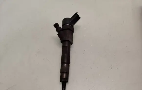 Renault Scenic II - Grand scenic II Fuel injector 0445110021