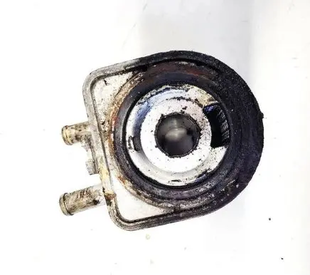 Peugeot 307 Engine oil radiator 