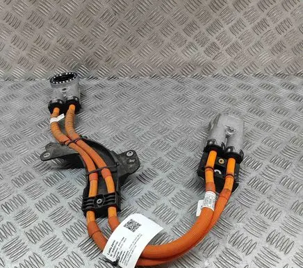 BMW iX1 Other wiring loom 5A1CA66 5A1CA67