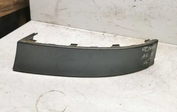 Rear/tail light trim molding