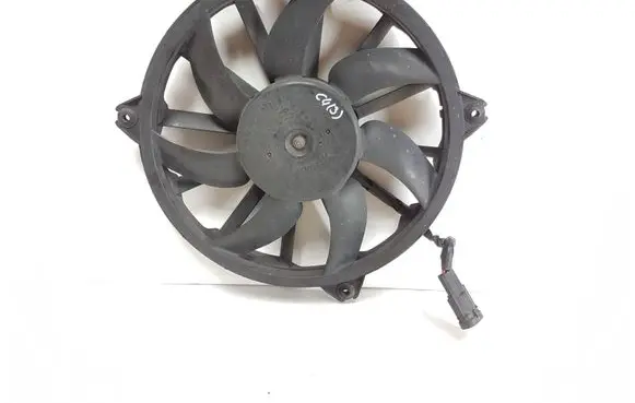 Citroen C4 II Electric radiator cooling fan 10498747167